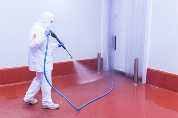 Best Parking Lot and Garage Cleaning  in Milton, LA